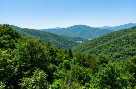 Mountain landscape with green forest and blue sky. View from the top of the mountain.の素材