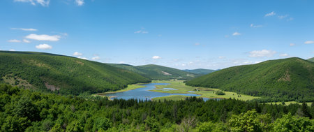 Panoramic view of a small lake in the green mountains.の素材
