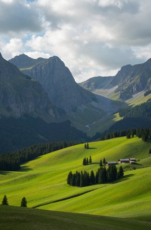 Alpine meadows in the Dolomites, South Tyrol, Italyの素材