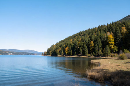 Autumn landscape with lake and forest in Altai Republic, Russiaの素材