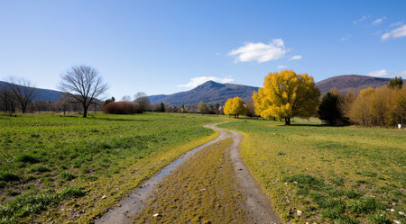 Autumn landscape with yellow trees, road and mountains in the backgroundの素材