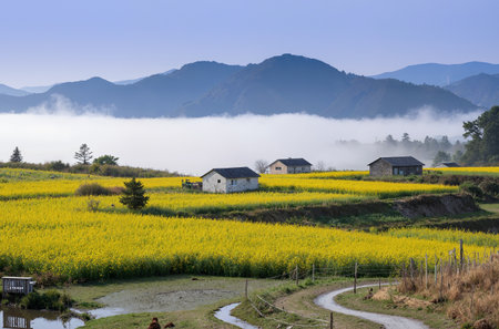 Rural scenery in South Korea,Rural landscape in spring.の素材