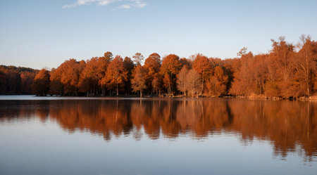 Autumn landscape with lake and trees reflected in water. Natural background.の素材