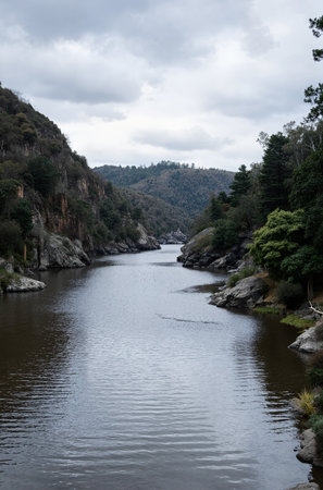 Landscape of the river in the mountains. View of the river and forest.の素材