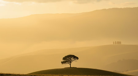 Lonely tree on the hillside in the morning light.の素材
