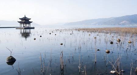 Landscape view of a pavilion in a lake, China.の素材