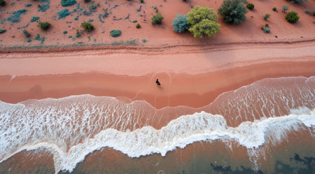 Aerial view of a man swimming in a red sand beach in Australiaの素材