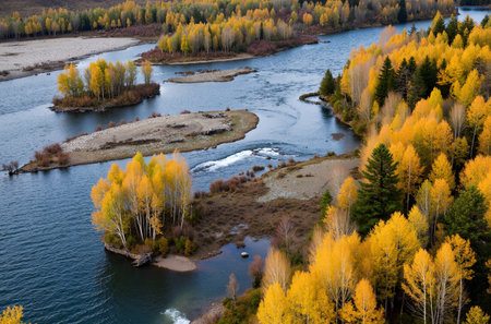 Aerial view of the autumn forest and river. Russia, Siberiaの素材