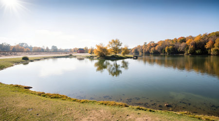 Beautiful autumn landscape with lake and trees in the city park.の素材