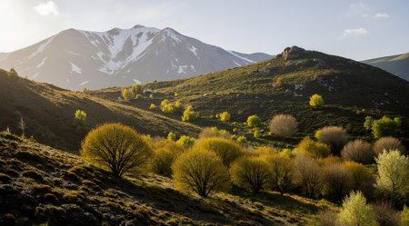 Autumn alpine landscape in the mountains of the Caucasus. Russiaの素材