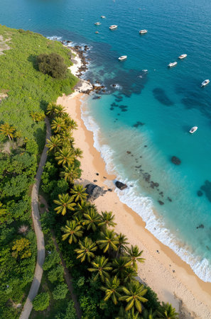 Aerial view of beautiful tropical beach and sea with coconut palm treeの素材