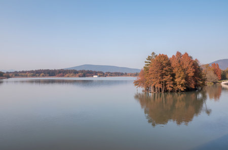 Autumn landscape with lake and trees in Bavaria, Germany.の素材