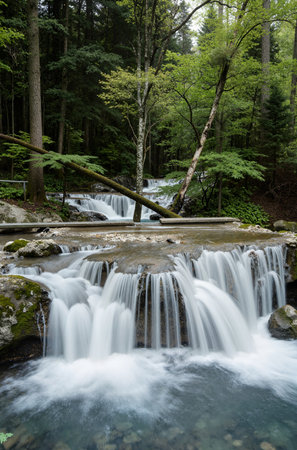 beautiful waterfall in the forest. long exposure. long exposure.の素材