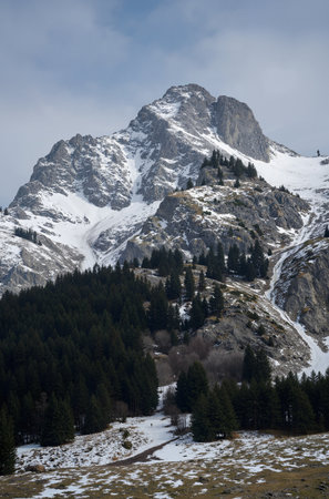 Winter in the swiss alps, canton of St. Gallenの素材