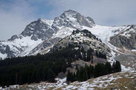 Mountain landscape with snow and coniferous forest on the slopeの素材
