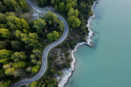Aerial view of a winding road in the middle of the forest.の素材
