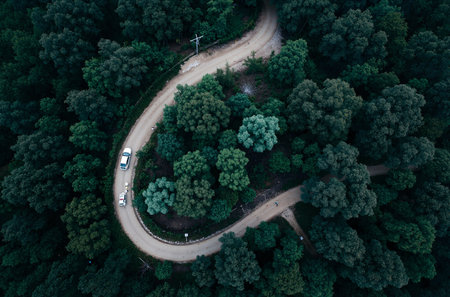 Aerial view of a road in the forest. Drone photography.の素材