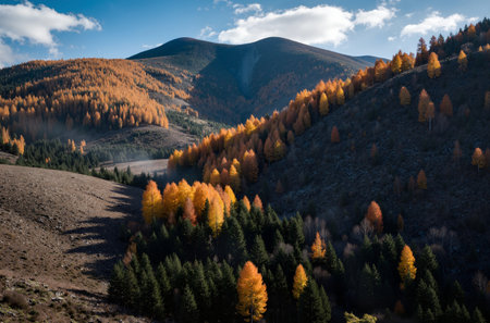 Autumn mountain landscape with colorful larch trees. Carpathian, Ukraineの素材