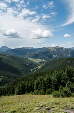 Mountain landscape with meadows and forests on a sunny summer dayの素材