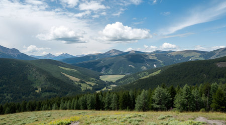 Panoramic view of the Carpathian Mountains, Ukraine.の素材