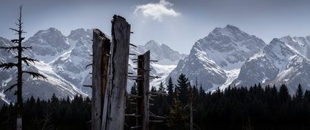 Panoramic view of the snow-capped peaks of the Dolomitesの素材