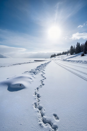 Footprints in the snow on a mountain road, Carpathians, Ukraineの素材