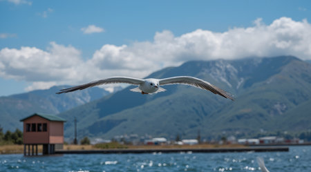 Seagull flying in the sky over the sea with mountain backgroundの素材