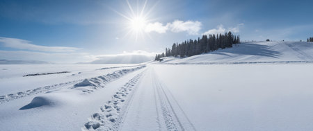 Beautiful winter landscape in the Carpathian Mountains, Ukraine.の素材