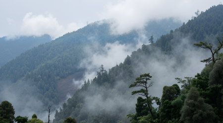 Landscape view of mountains in fog at Khao Yai National Park, Thailandの素材