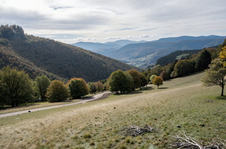 Autumn landscape in the Carpathian Mountains. Ukraine, Europe.の素材