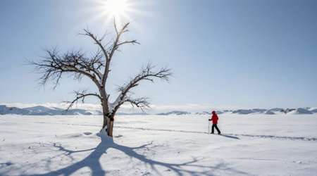 Winter hiking in the mountains on snowshoes with a backpack and tent.の素材