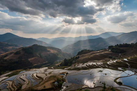 Terraced rice field landscape in Longsheng, China.の素材
