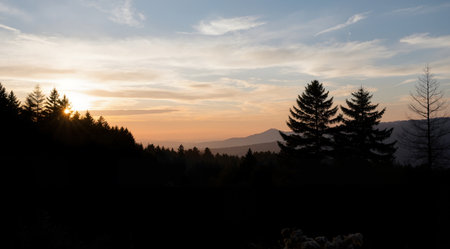 Sunset in the mountains with silhouettes of pine trees in the foregroundの素材