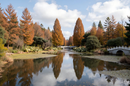 Autumn in the botanical garden of the city of Madrid, Spainの素材