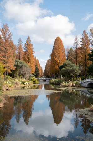 Autumn landscape in a park with a pond and colorful trees.の素材