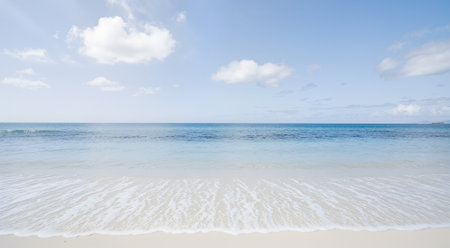 Tropical beach with white sand and turquoise sea waterの素材
