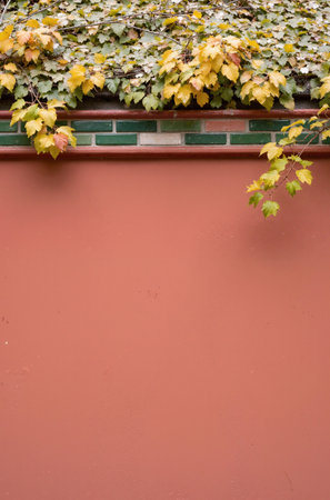 Autumn leaves on a red wall with copy space for your textの素材