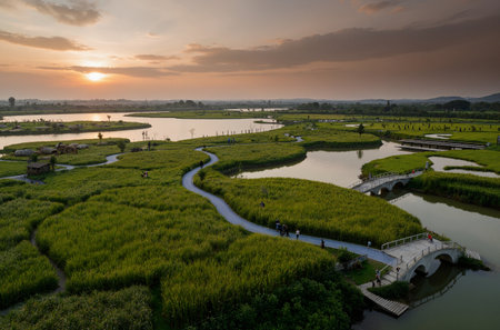 Landscape of rice field in the evening with a beautiful sky.の素材