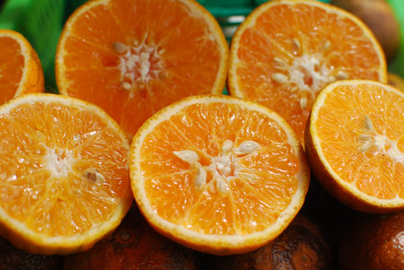 The  orange fruits are popular