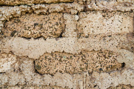 Background of home soil wall texture.の写真素材