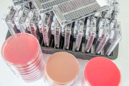 Stip for detection of pathogens and drug resistance by automated machinery.の写真素材
