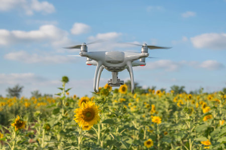 Drone hovering over Sunflower Garden.