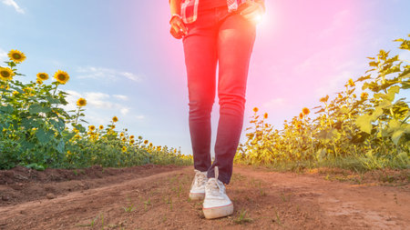 The woman wearing sneakers walk in the sunflower garden.