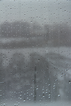 raindrops on the windowの写真素材