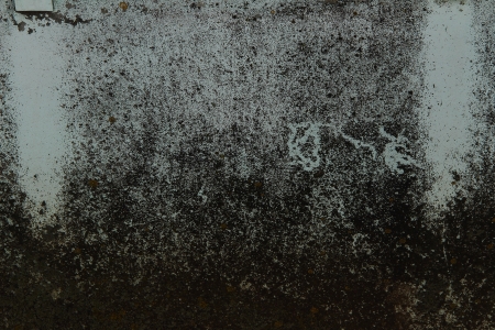 Moss and dirt on the surface of a concrete wallの写真素材