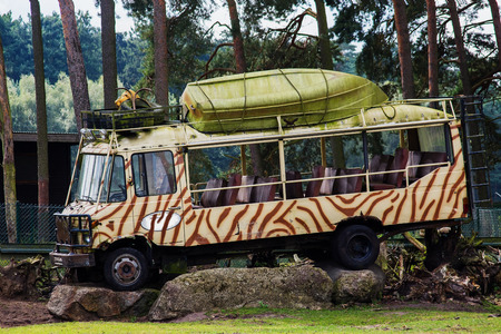 bus with tiger coloring to travel on Safari,standing on the stones as decorationのeditorial素材