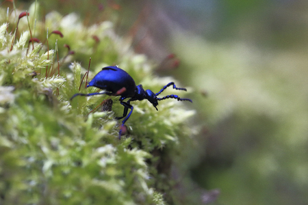 Into the unknown.Going into the unknown taking with them sadness.の写真素材