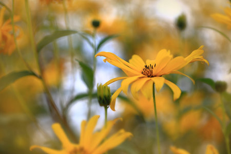 In yellow tones.