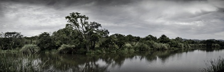 Water holeの写真素材