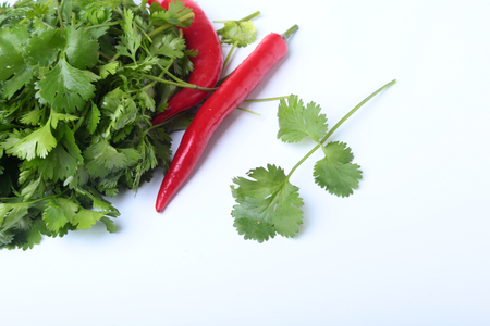 Fresh green cilantro, coriander leaves and chili pepper isolated on white bacground.の写真素材